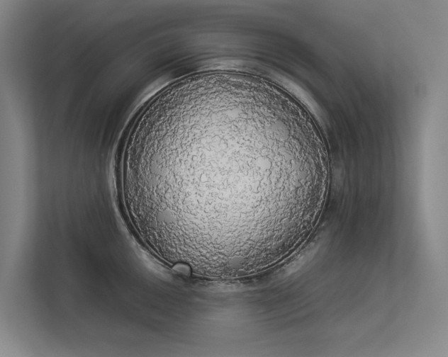 X0000112831050200909041459