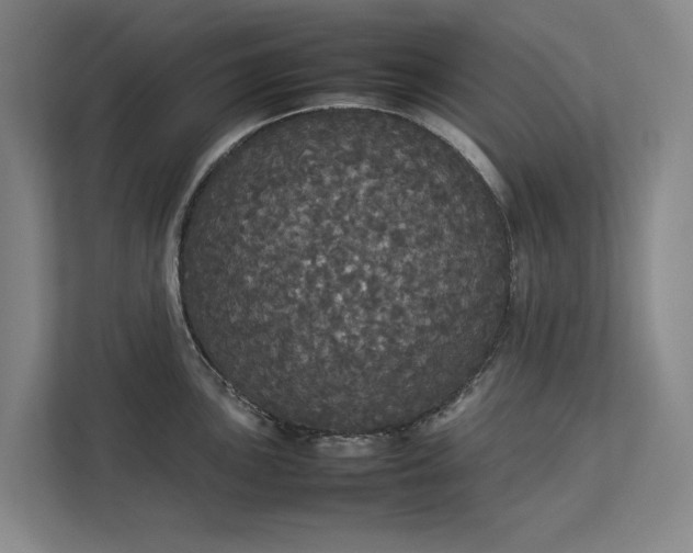 X0000112831051200909041459