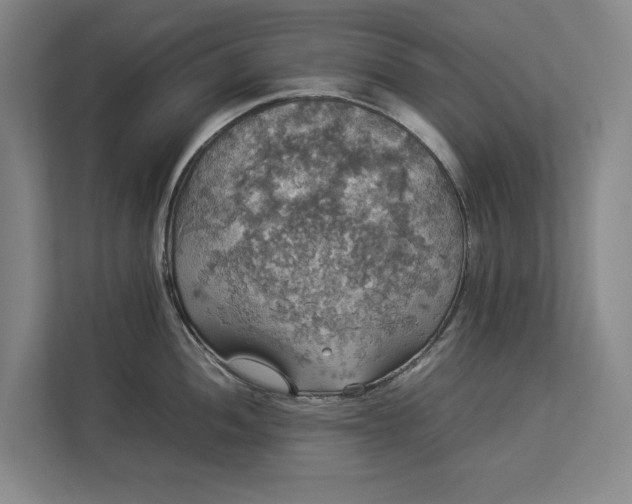 X0000112831052200909041459