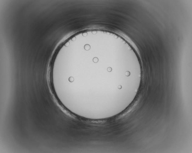 X0000112831053200909041459