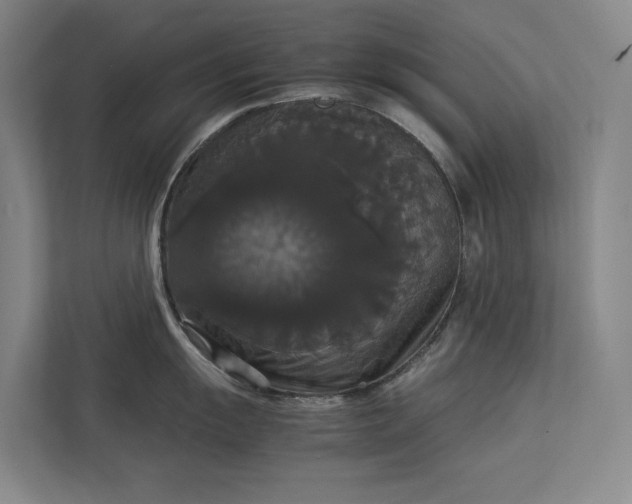 X0000112831055200909041459