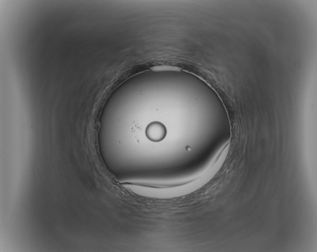 X0000112831057200909041458