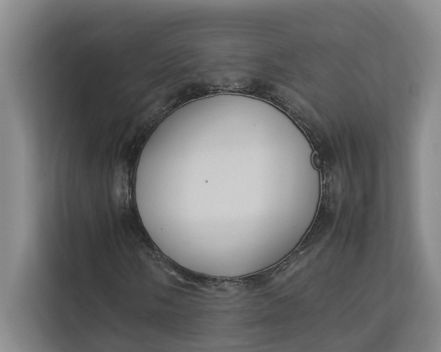 X0000112831058200909041458