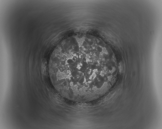 X0000112831059200909041458