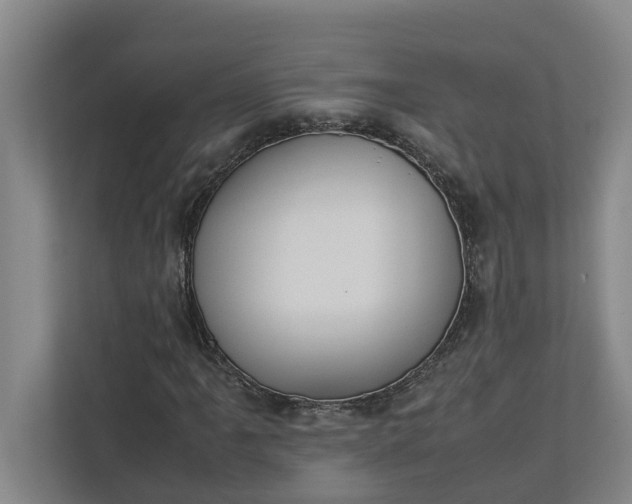 X0000112831061200909041458