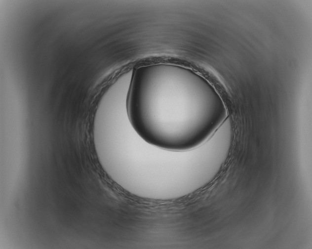 X0000112831064200909041458