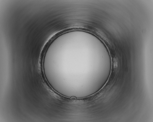 X0000112831068200909041458