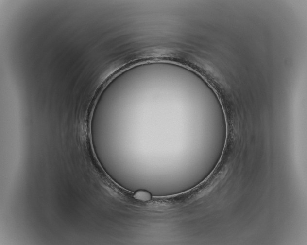 X0000112831073200909041458