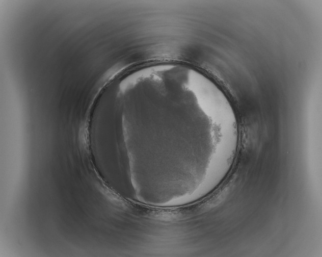 X0000112831074200909041458