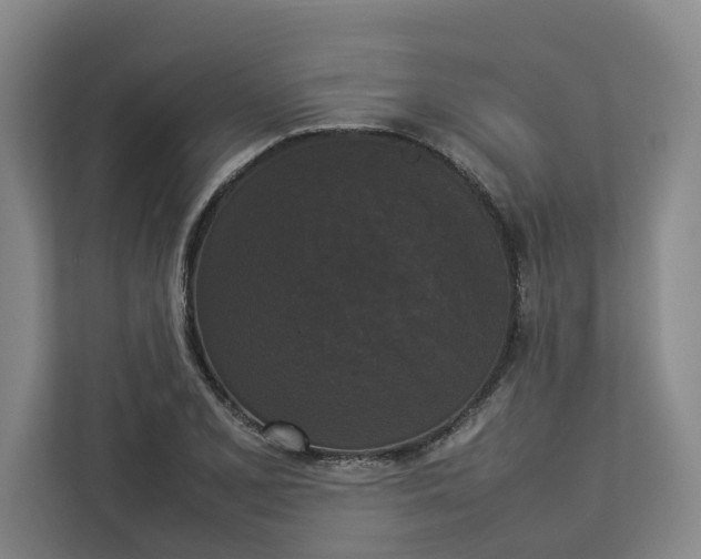 X0000112831077200909041458