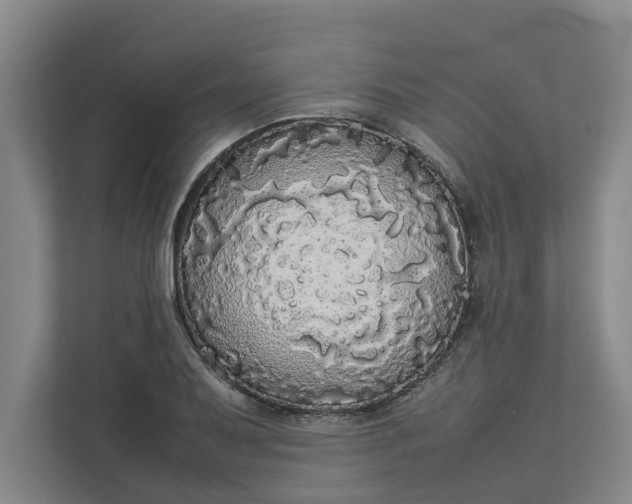 X0000112831079200909041458