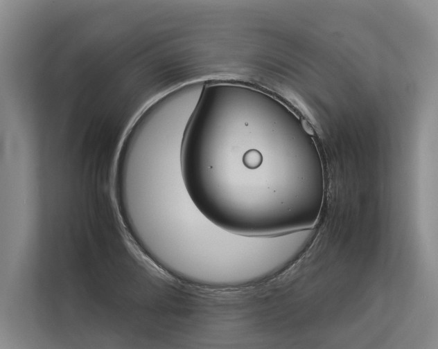 X0000112831080200909041458