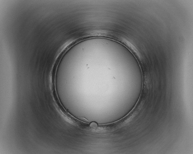 X0000112831082200909041458