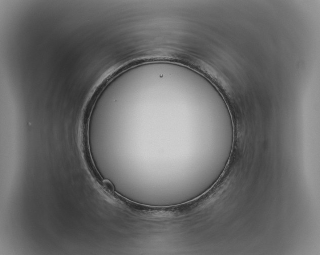 X0000112831085200909041458