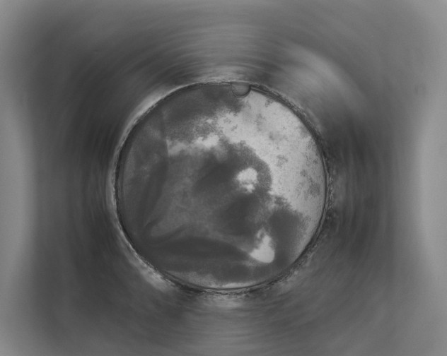 X0000112831086200909041458