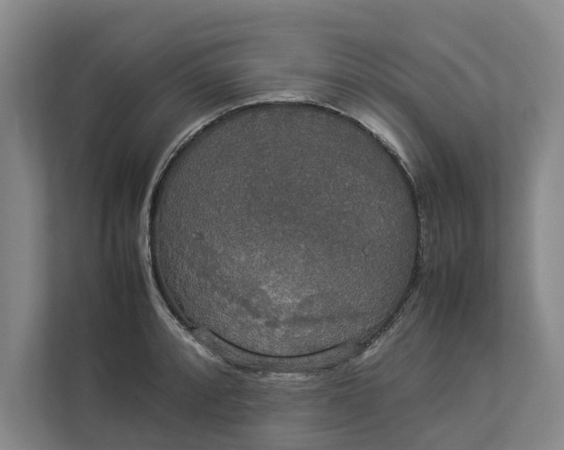 X0000112831088200909041458