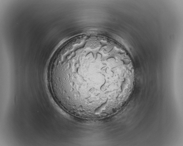 X0000112831091200909041458