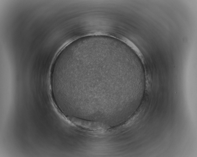 X0000112831096200909041458