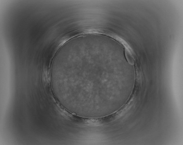 X0000112831097200909041458