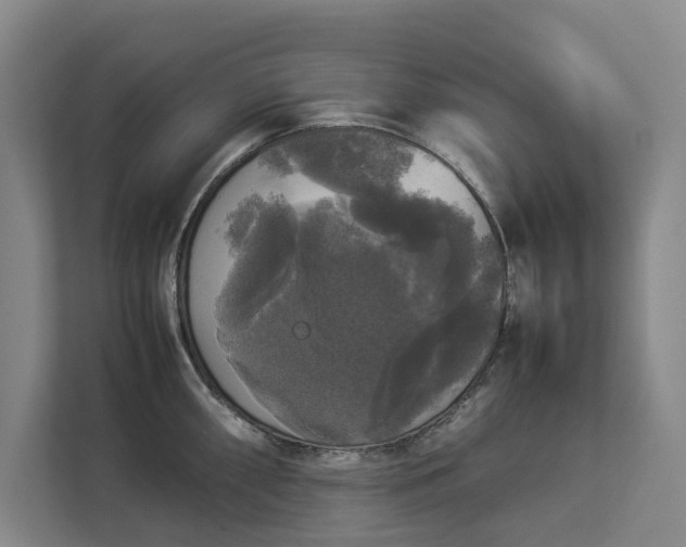 X0000112831098200909041458