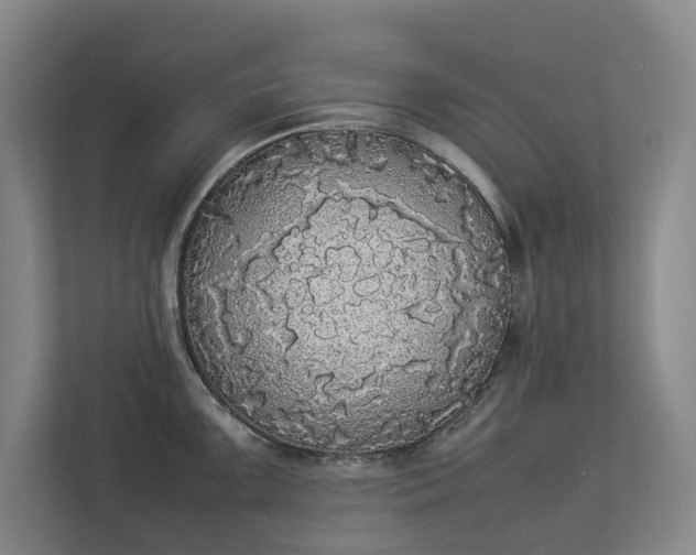 X0000112831099200909041458