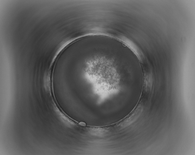 X0000112831100200909041458