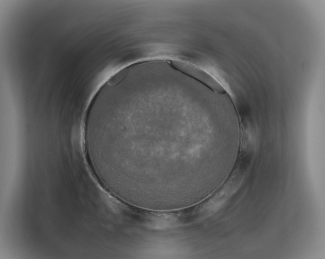 X0000112831101200909041457