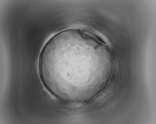 X0000112831103200909041457