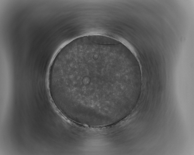 X0000112831104200909041457