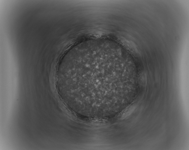 X0000112831105200909041457