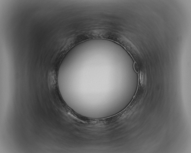 X0000112831107200909041457