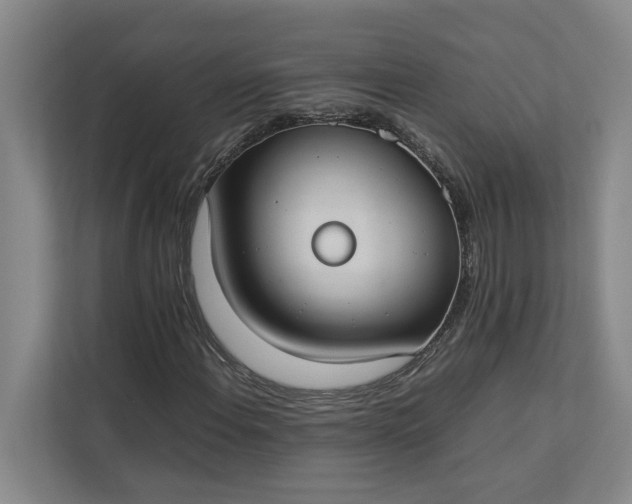 X0000112831108200909041457