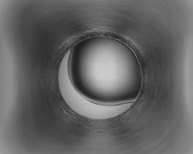 X0000112831110200909041457