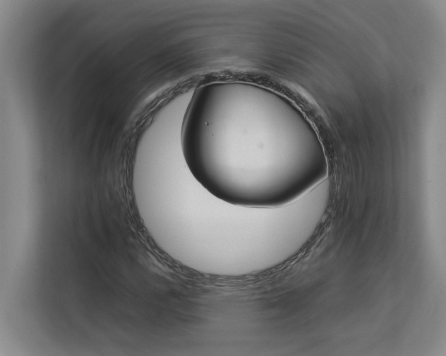 X0000112831112200909041457