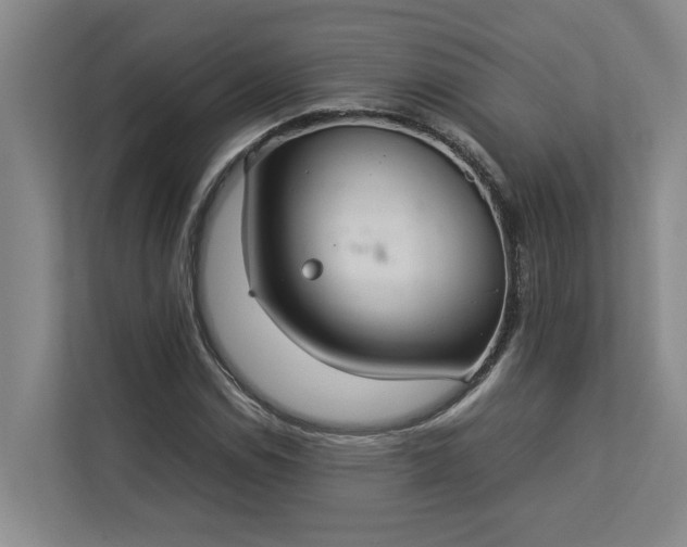 X0000112831114200909041457