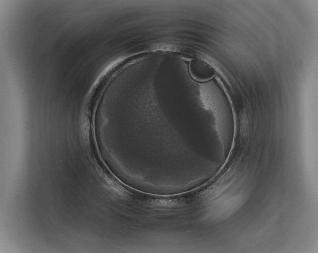 X0000112831115200909041457