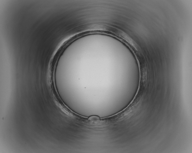 X0000112831116200909041457