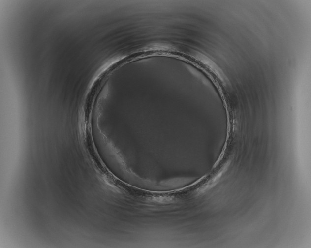 X0000112831117200909041457