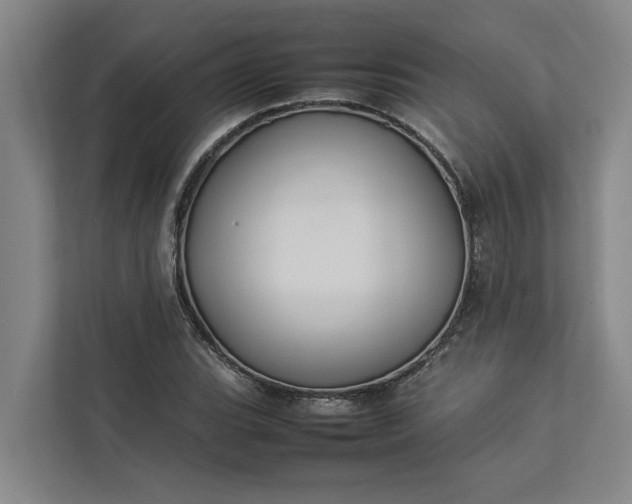 X0000112831119200909041457