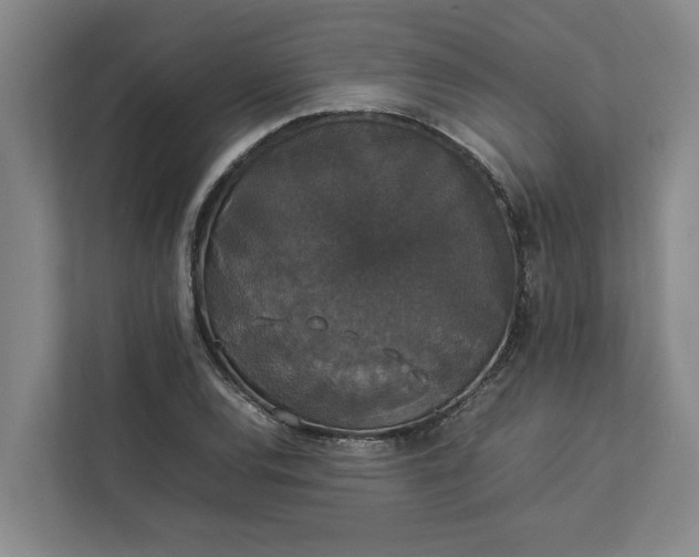 X0000112831120200909041457