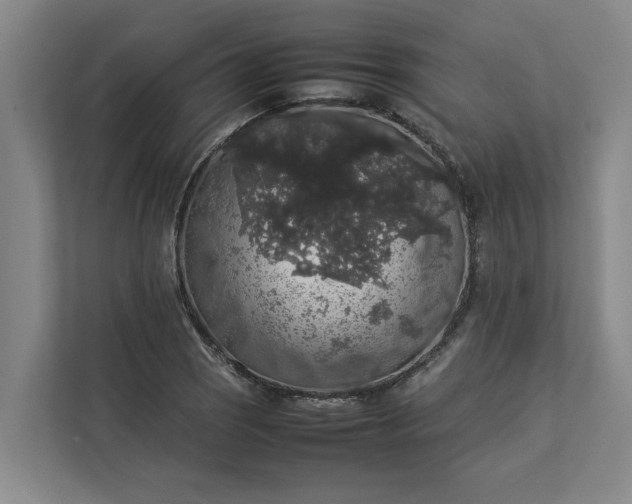 X0000112831121200909041457