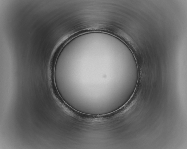 X0000112831122200909041457