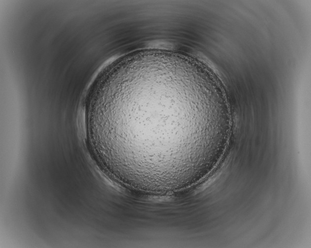 X0000112831123200909041457