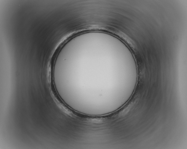 X0000112831126200909041457