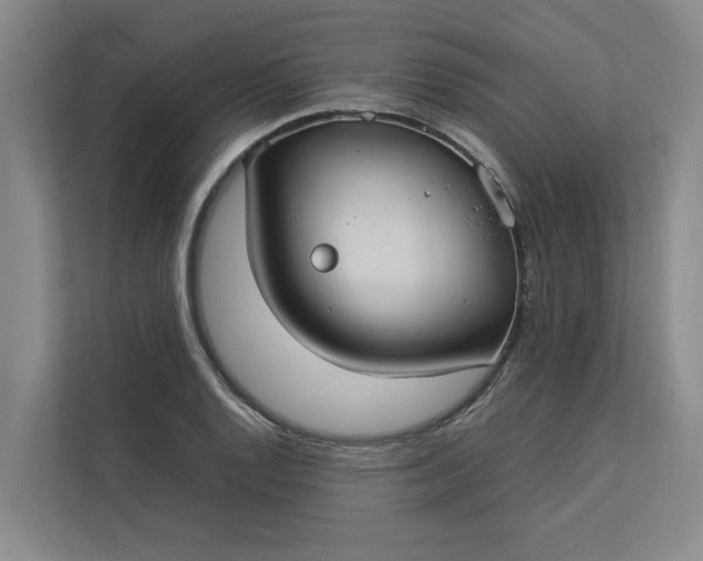 X0000112831128200909041457