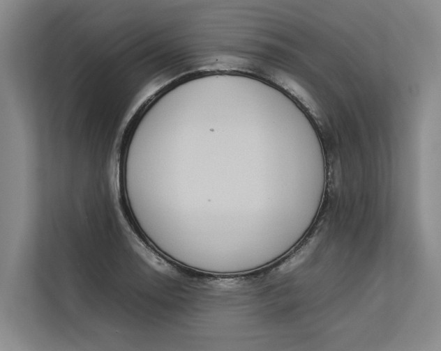 X0000112831130200909041457