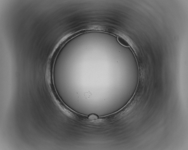 X0000112831131200909041457