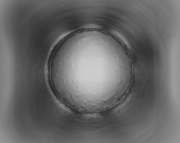 X0000112831133200909041457