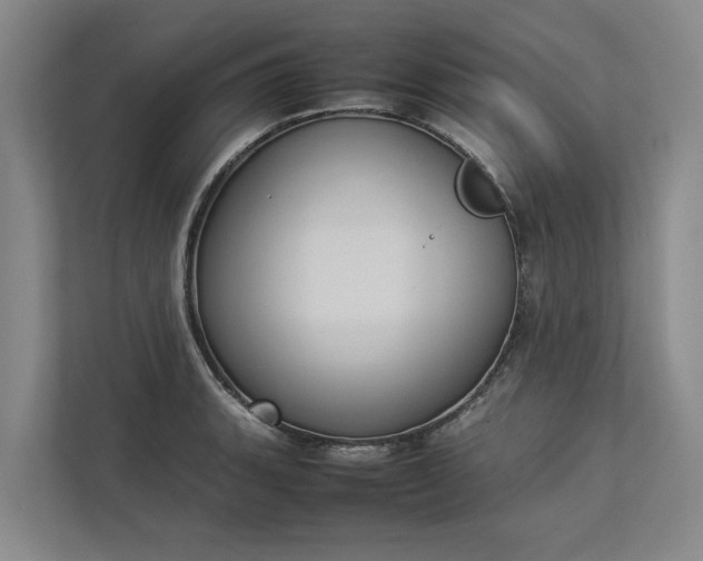 X0000112831135200909041457