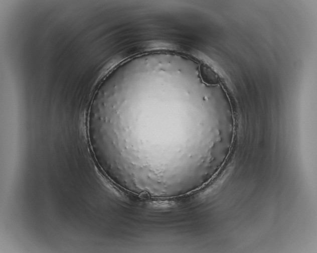 X0000112831137200909041457